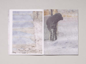 El Retrato de tu Ausencia - Antenne Books