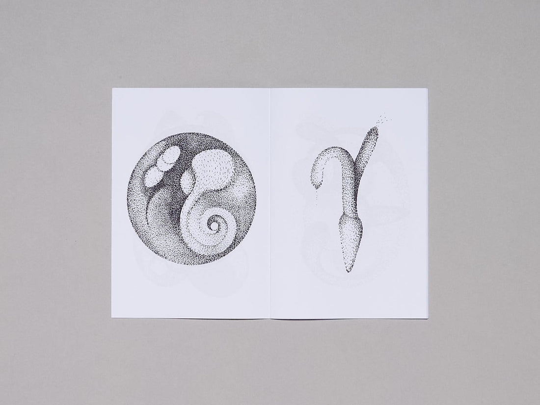 Franklin Summer - Antenne Books