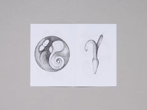 Franklin Summer - Antenne Books