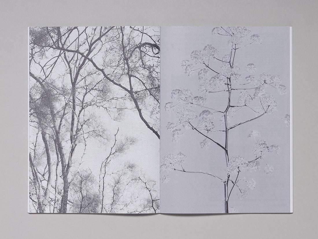 Revive Magazine Issue 2