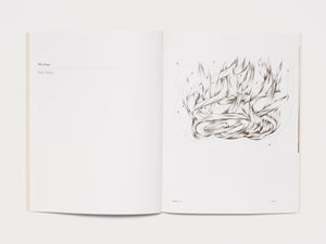 Plans and Spells- Adam Chodzko - Antenne Books