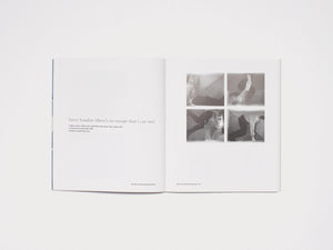 Minigraph 2: John Wood and Paul Harrison - Antenne Books