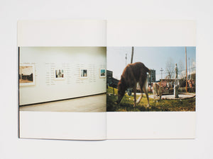 Mark Lewis Films 1995-2000 - Antenne Books