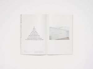 Carey Young, Incorporated - Antenne Books