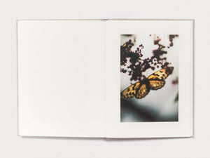 Kanon - Antenne Books