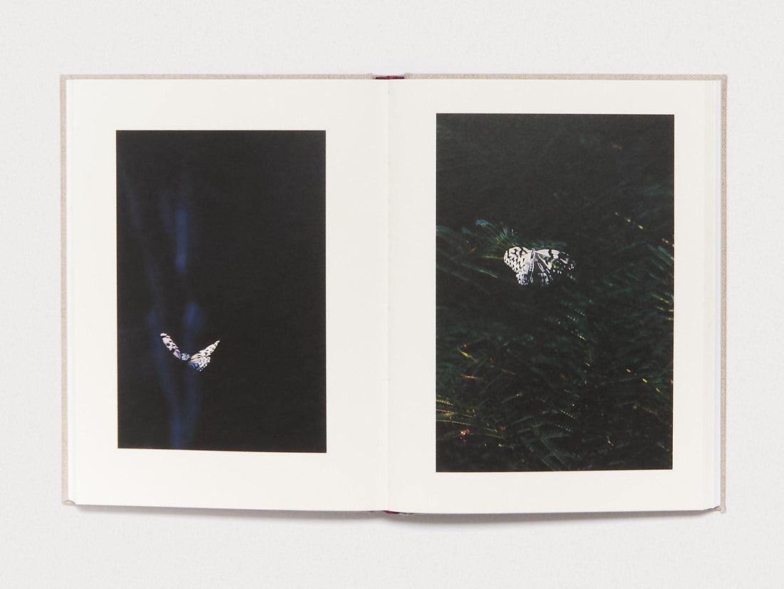 Kanon - Antenne Books