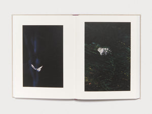 Kanon - Antenne Books