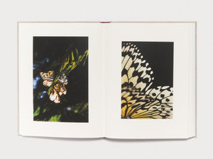 Kanon - Antenne Books