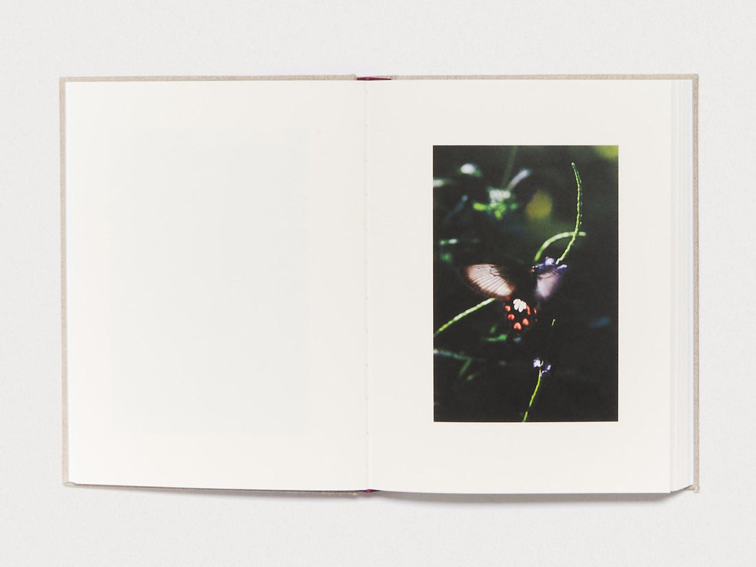 Kanon - Antenne Books