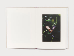 Kanon - Antenne Books