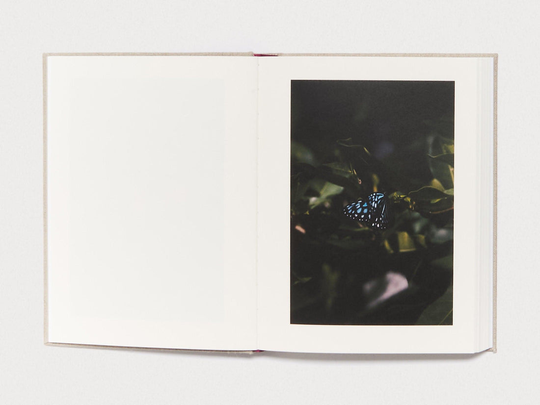 Kanon - Antenne Books