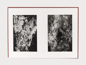 Epiphany - Antenne Books