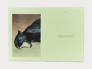 The Taste of Emotion - Antenne Books