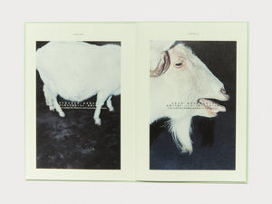 The Taste of Emotion - Antenne Books