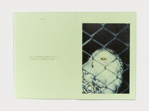 The Taste of Emotion - Antenne Books