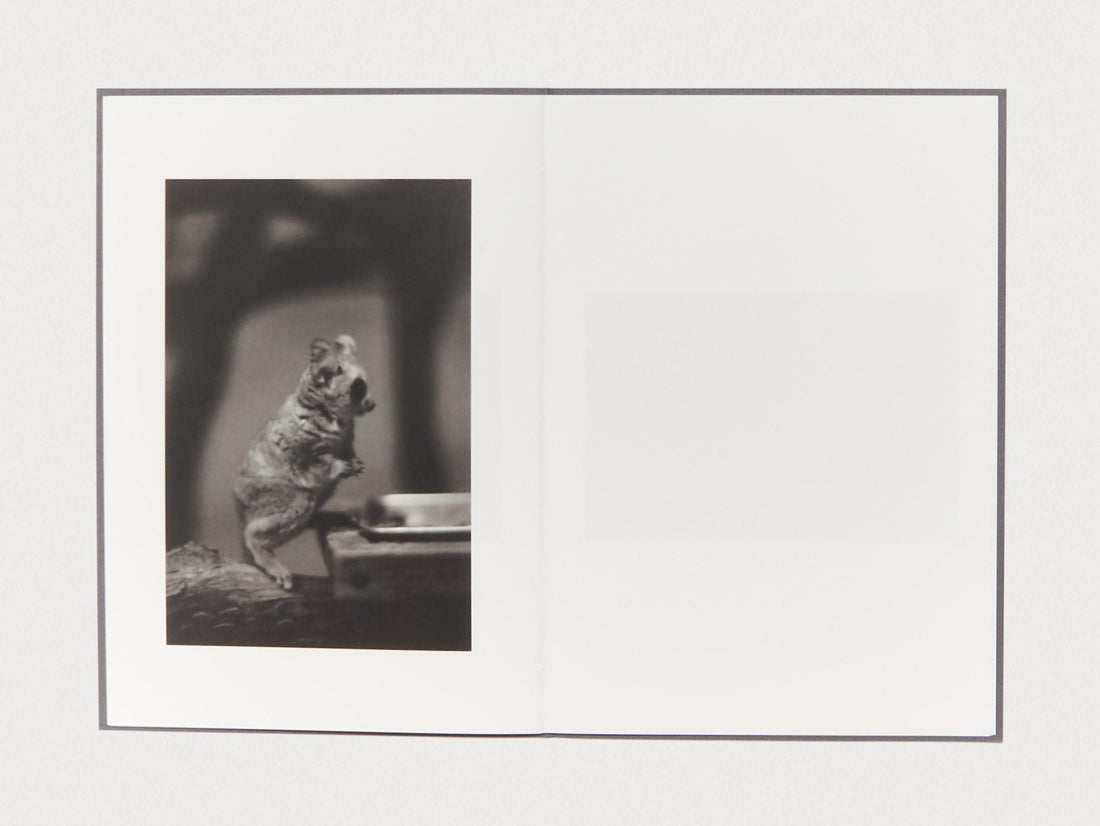 Zoo Animals - Antenne Books