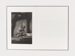 Zoo Animals - Antenne Books