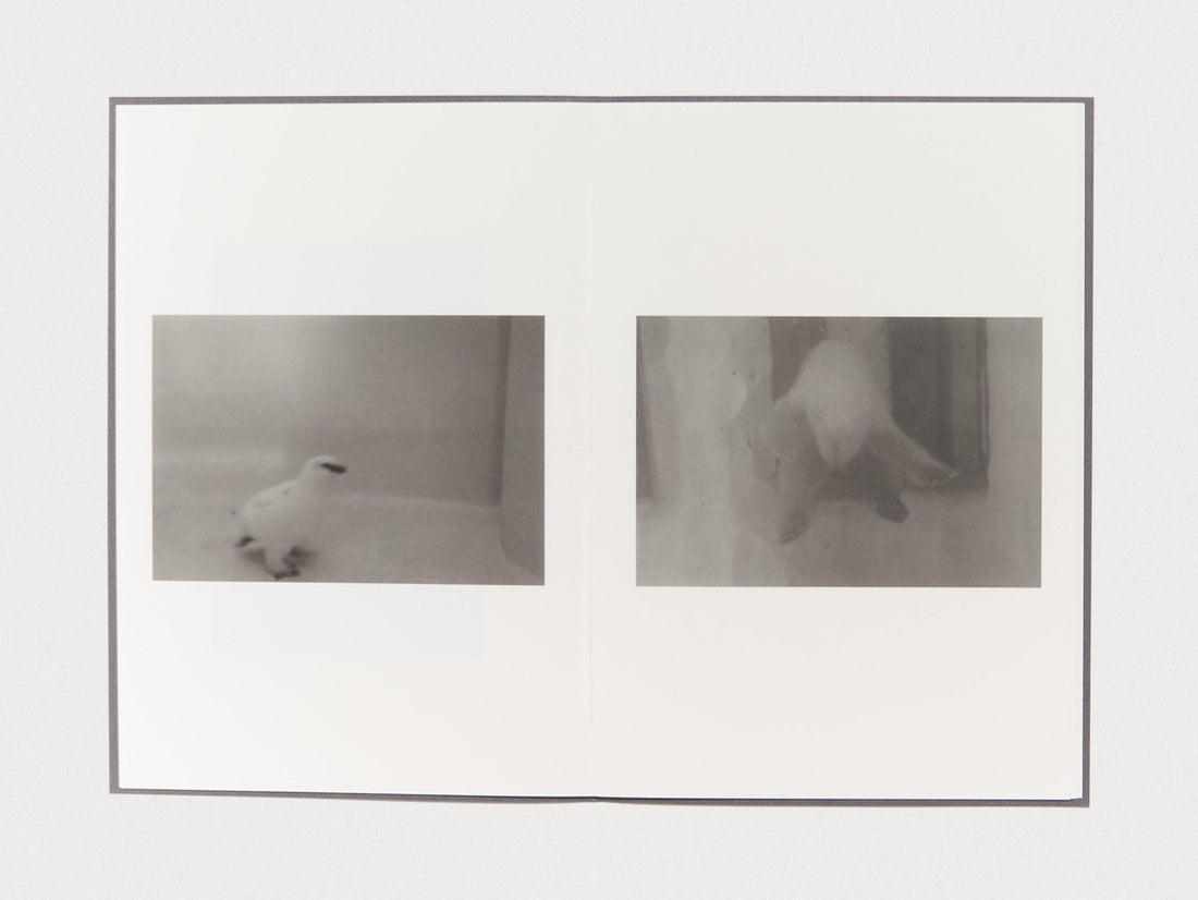 Zoo Animals - Antenne Books