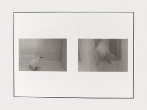 Zoo Animals - Antenne Books