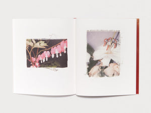 Swaying Flowers - Antenne Books