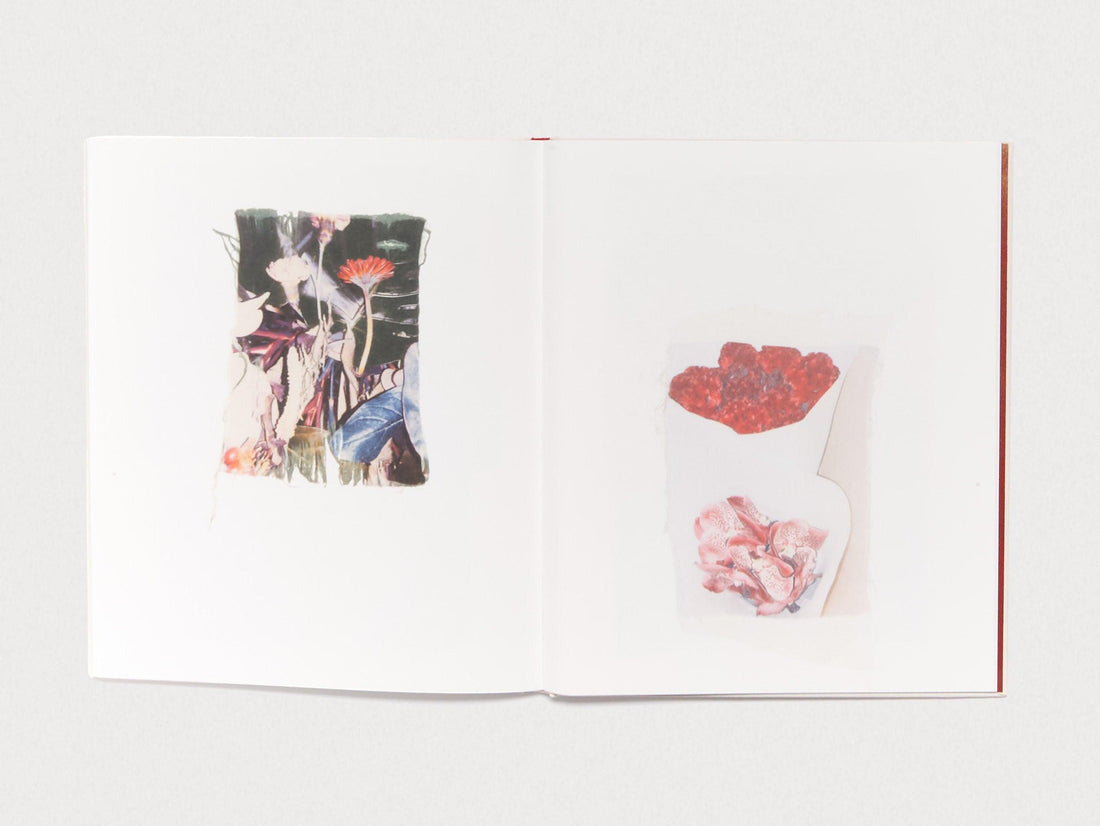 Swaying Flowers - Antenne Books