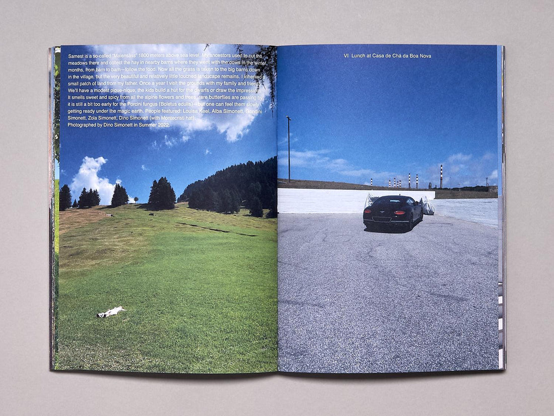 Dino Magazine — Issue #1 Summer 2024 - Antenne Books