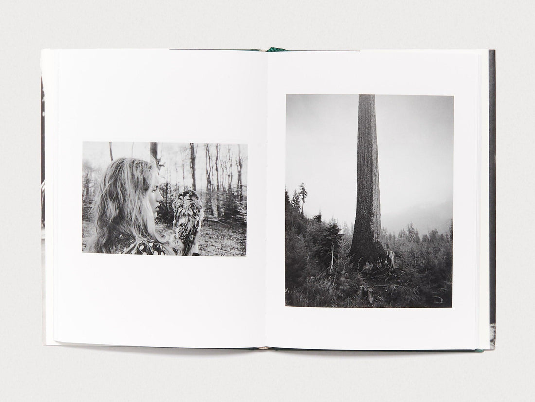 Becoming Pictures - Antenne Books