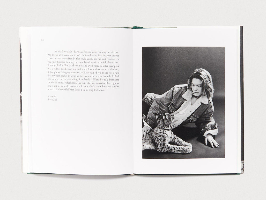 Becoming Pictures - Antenne Books