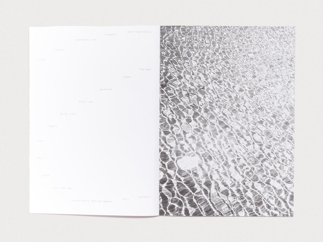 RÜDO #04 - TAKE SHELTER - Antenne Books