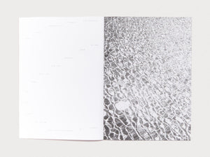 RÜDO #04 - TAKE SHELTER - Antenne Books