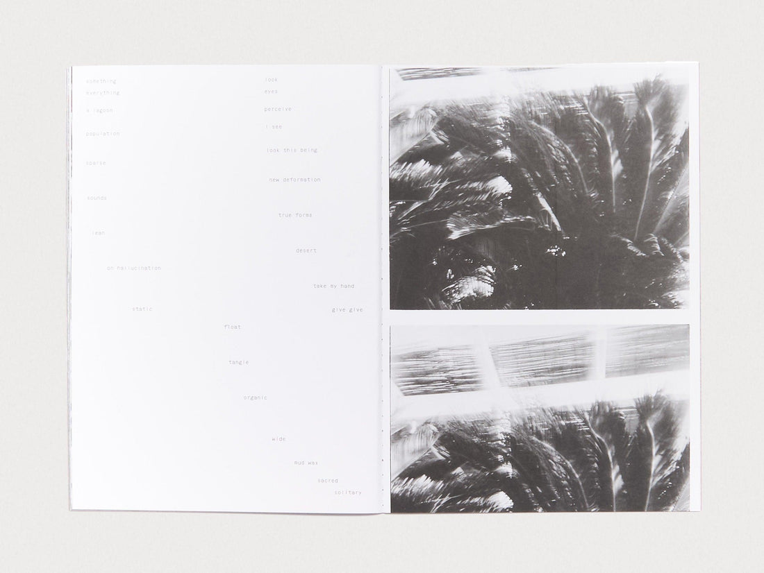 RÜDO #04 - TAKE SHELTER - Antenne Books