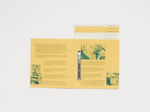 The Precariat Self Help Handbook 2