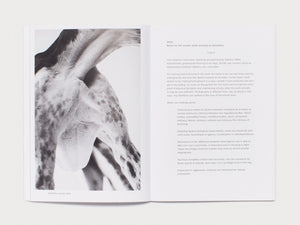 the movement of our bodies