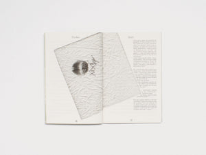 Gritli – the Moth Diaries, A Mistake has been made about Wildness