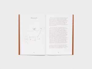 Portrait of the Artist as a Writer