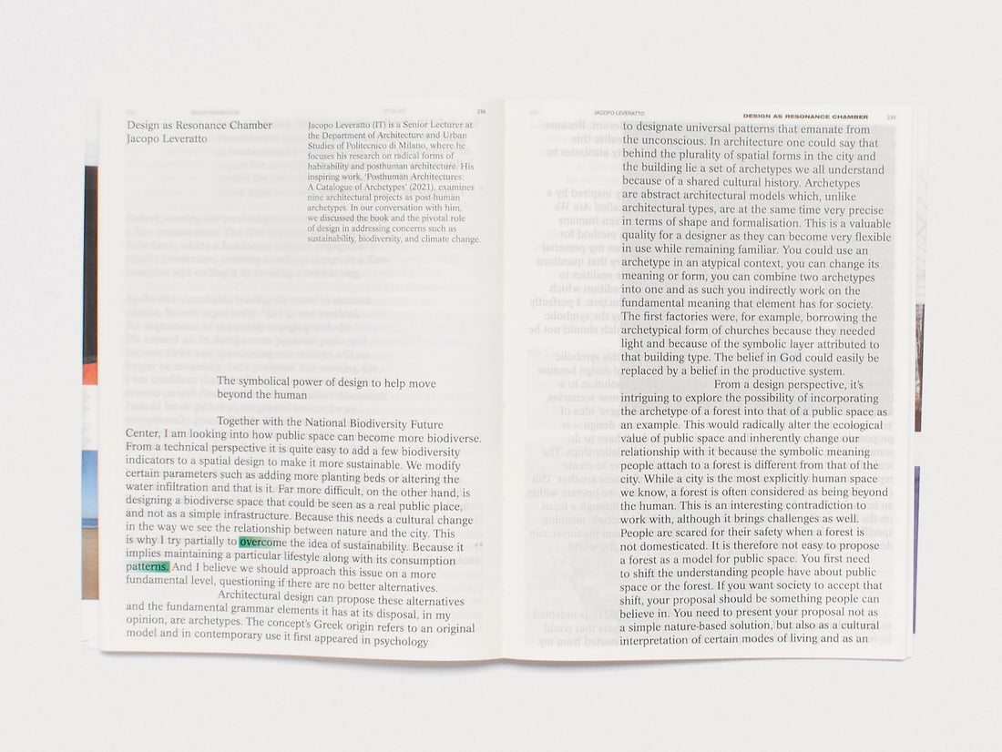 Practice in a More-than-human World