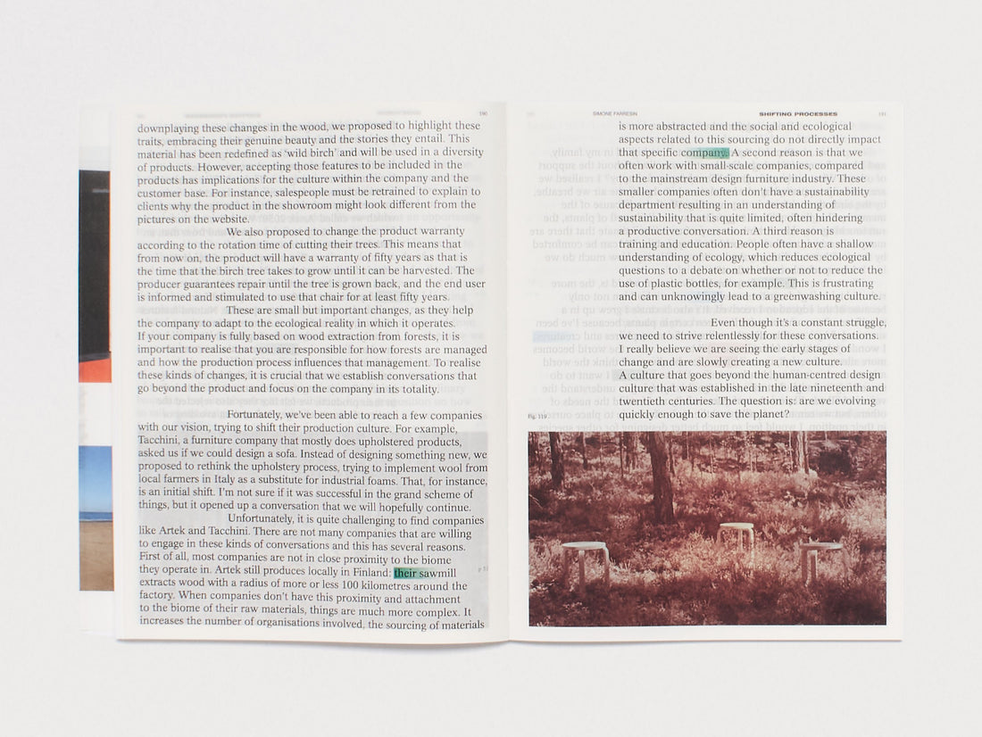 Practice in a More-than-human World