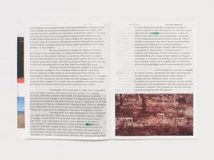 Practice in a More-than-human World