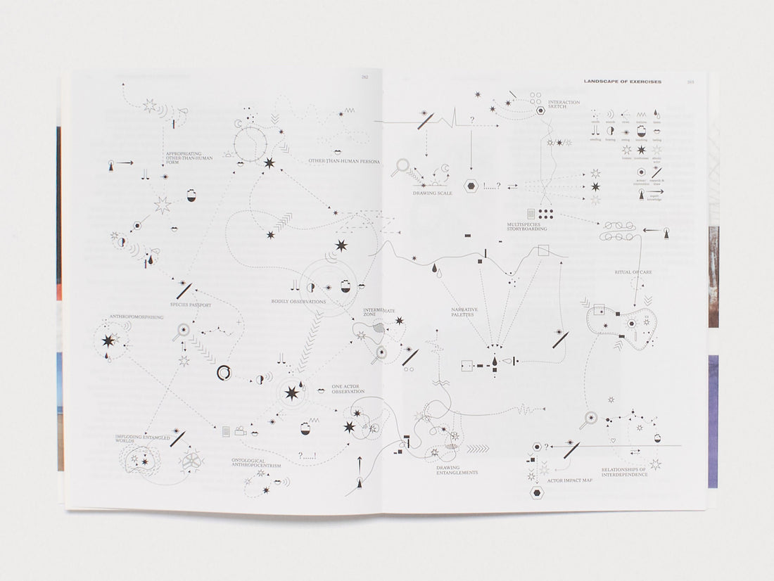 Practice in a More-than-human World