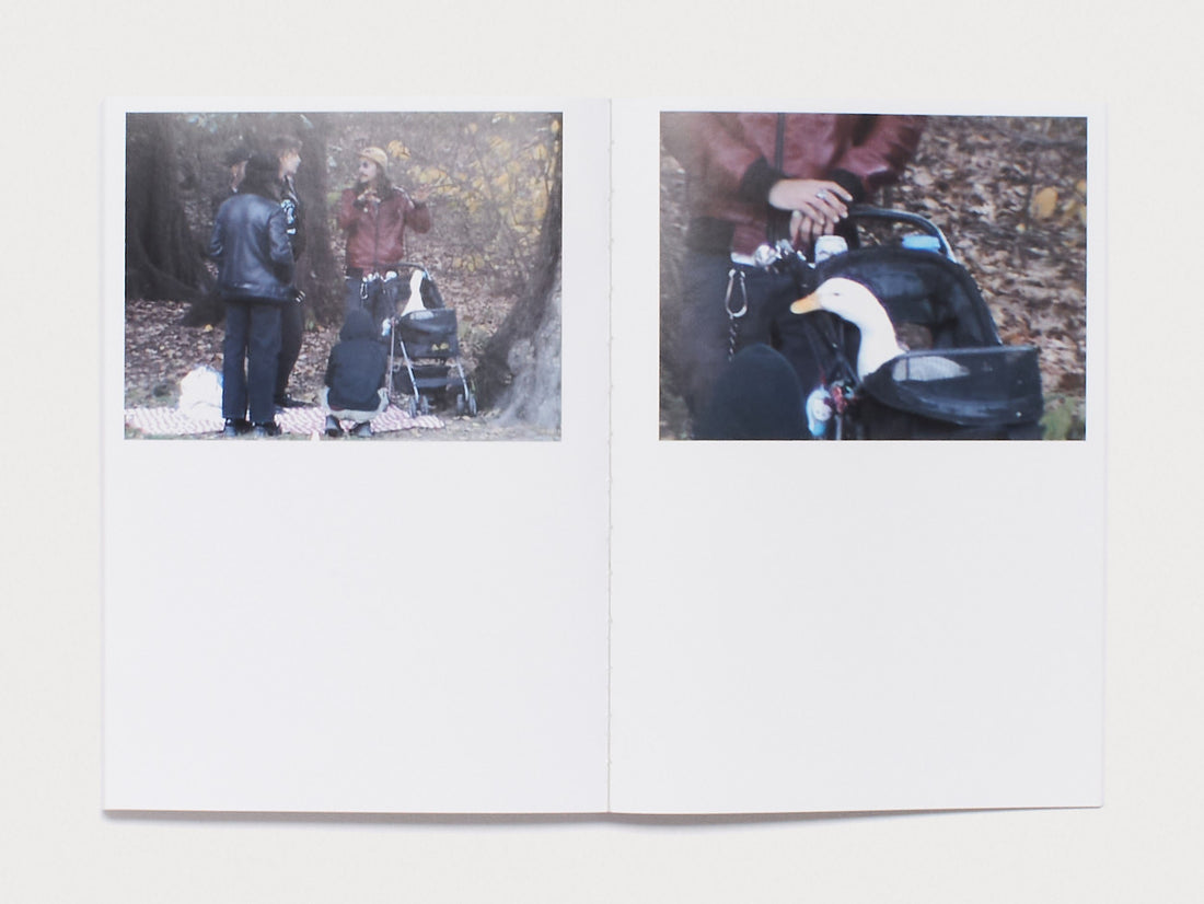 THE KNIGHT, THE PRINCESS AND THE GOOSE