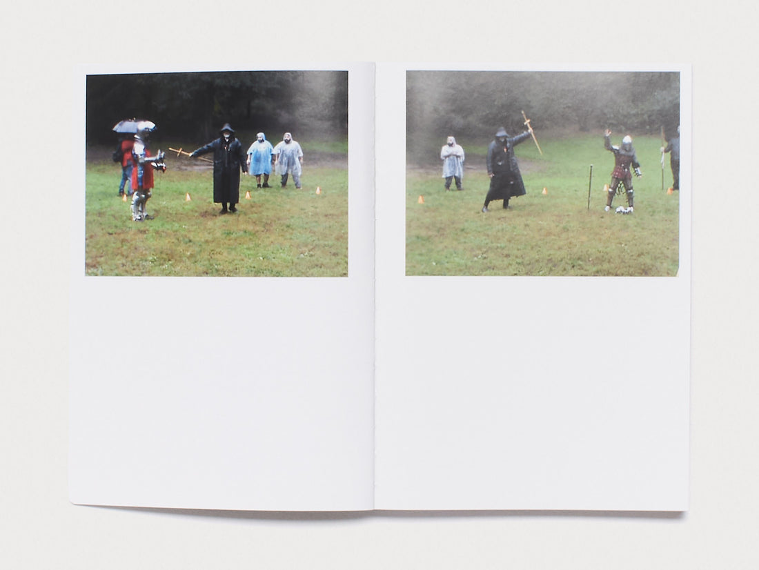 THE KNIGHT, THE PRINCESS AND THE GOOSE