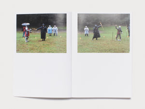 THE KNIGHT, THE PRINCESS AND THE GOOSE