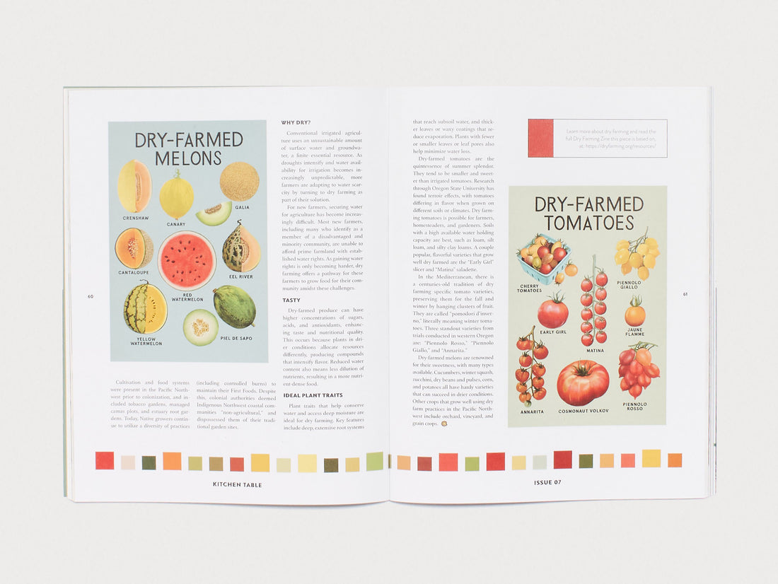 Kitchen Table #7: The Future Issue