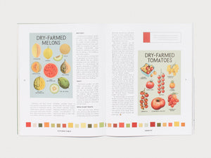 Kitchen Table #7: The Future Issue