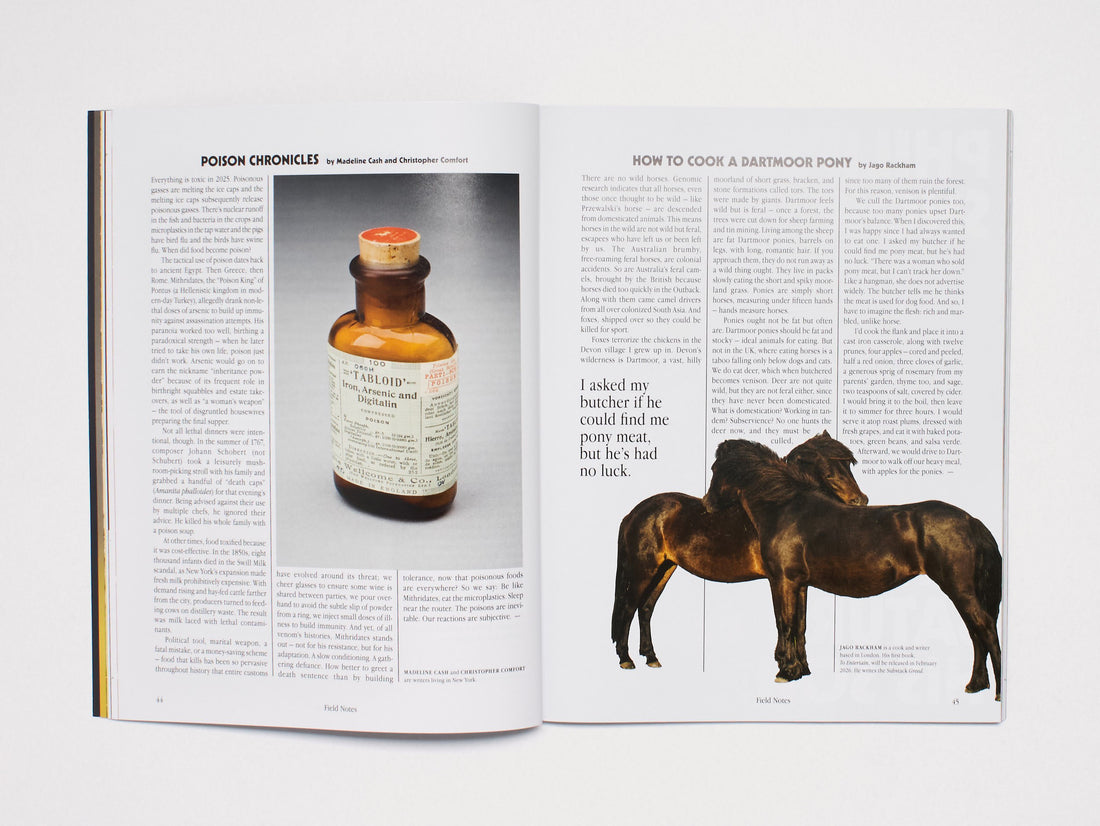 Spike Art Magazine #83