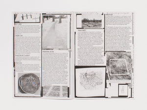 #3: The mental traveller