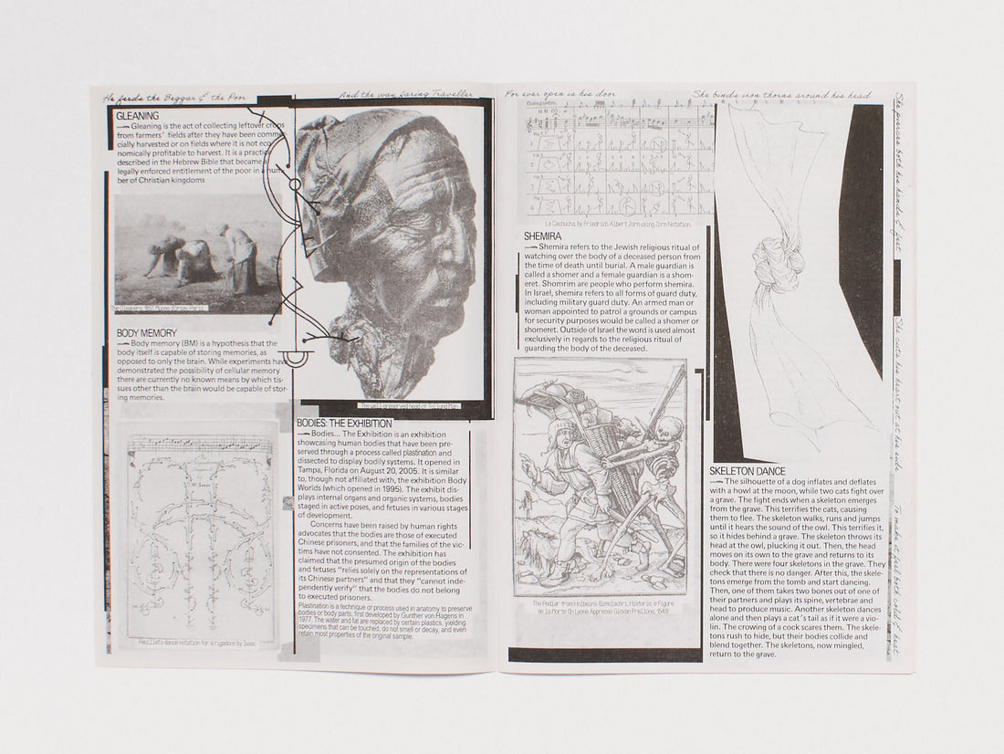 #3: The mental traveller