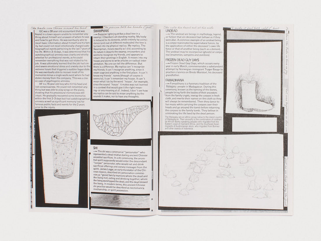 #3: The mental traveller