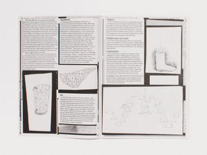 #3: The mental traveller