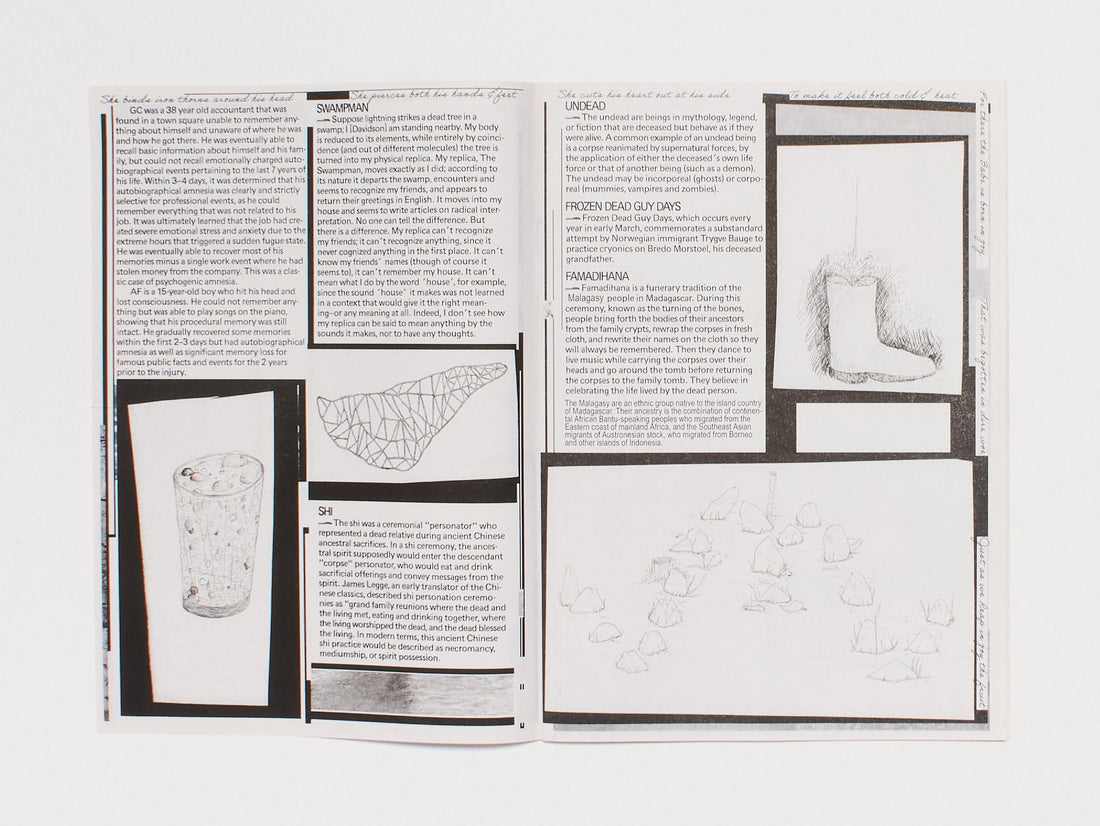 #3: The mental traveller